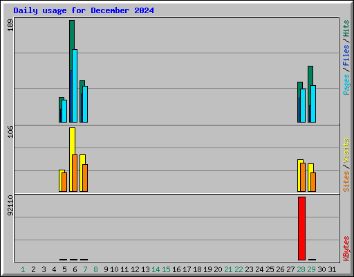 Daily usage for December 2024