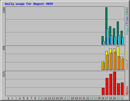 Daily usage for August 2025