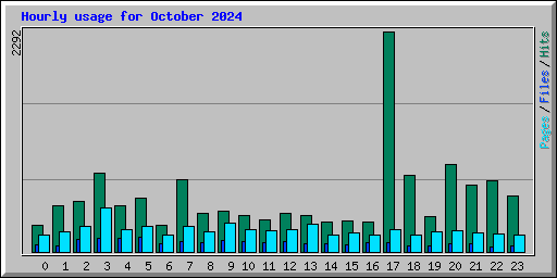 Hourly usage for October 2024