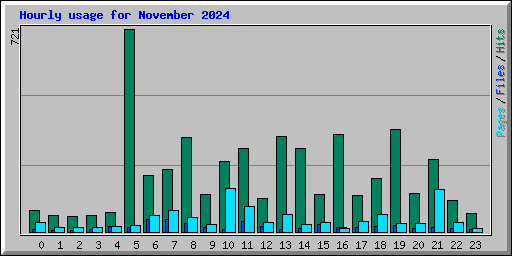 Hourly usage for November 2024