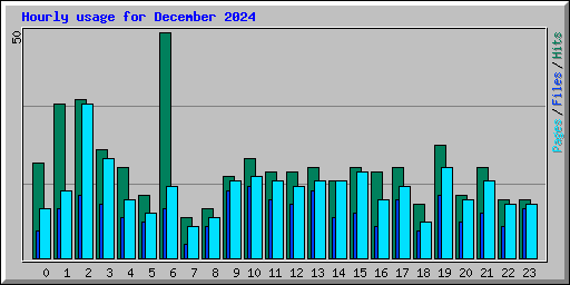 Hourly usage for December 2024