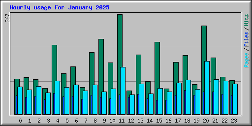 Hourly usage for January 2025