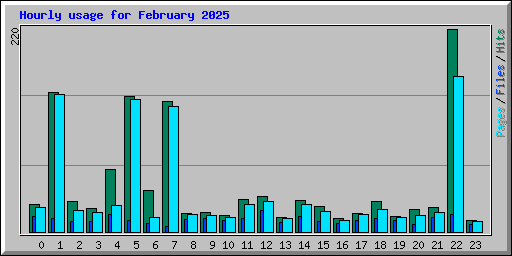 Hourly usage for February 2025
