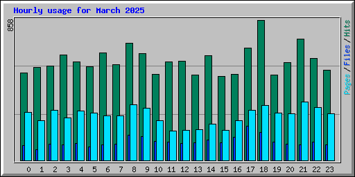 Hourly usage for March 2025