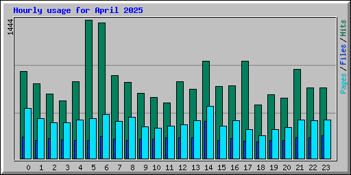 Hourly usage for April 2025