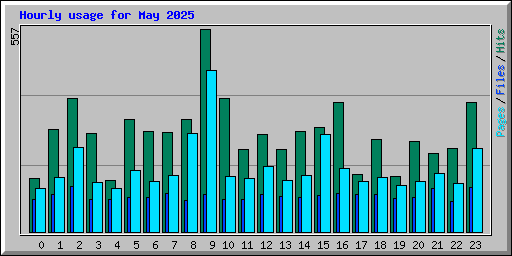 Hourly usage for May 2025