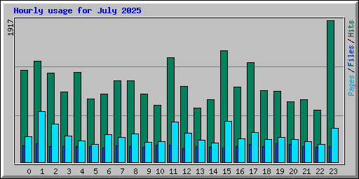 Hourly usage for July 2025
